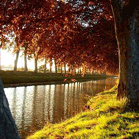 Le canal à l'automne