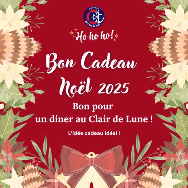 BON CADEAU NOEL DINER CROISIÈRE AU CLAIR DE LUNE téléchargeable Bon cadeau noel CDL 2025